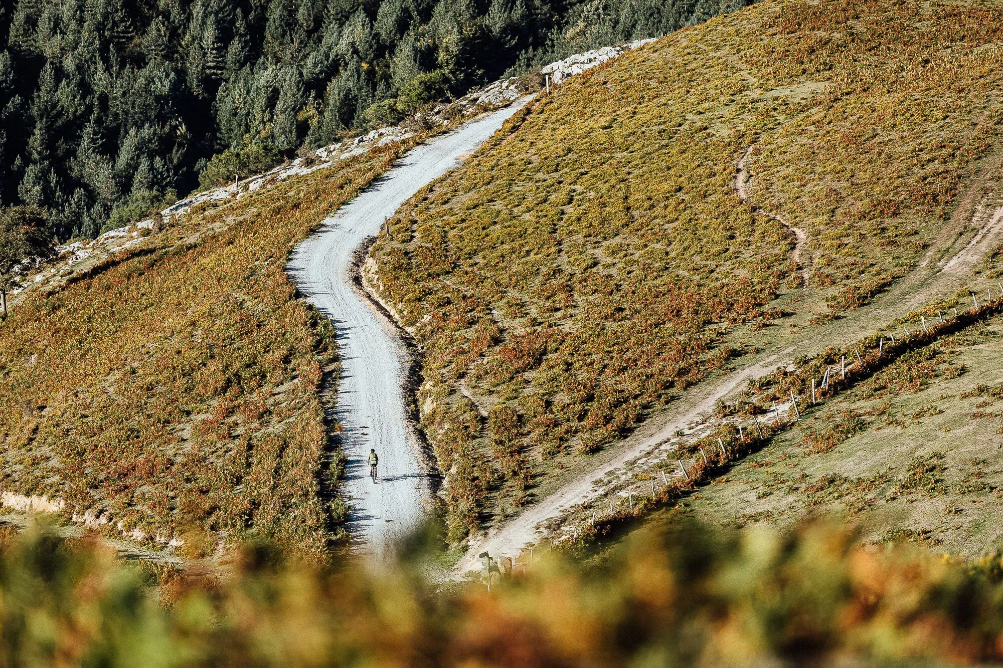 Gravel: more than cycling, a philosophy of life